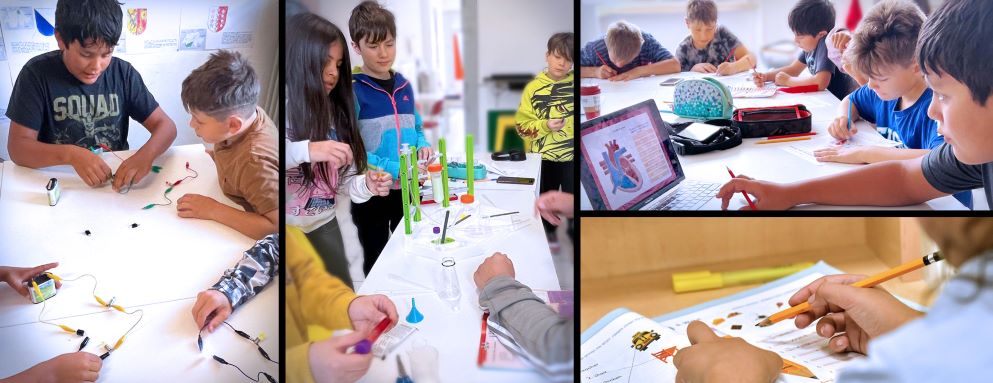 suivi pédagogique des élèves en instruction en famille IEF